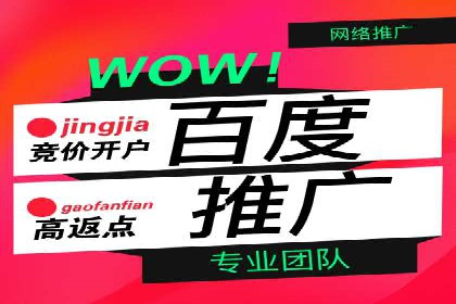 行业领先企业的信息流广告投放策略揭秘